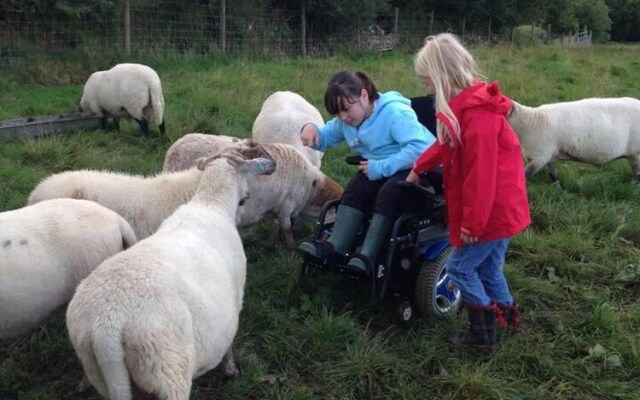 The Mill House at Cwmiar Farm - Relaxing Holidays