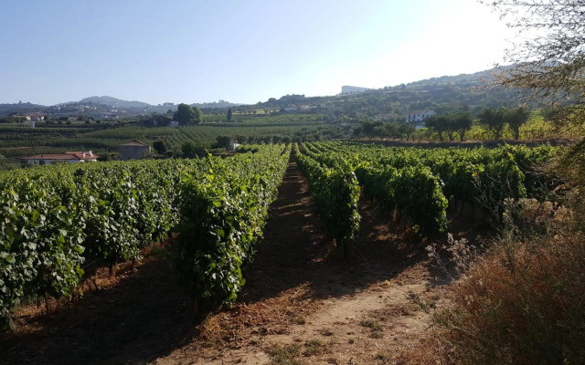Quinta Do Acipreste (Antiga Quinta Da Torre)