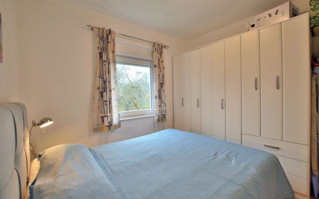 Apartment Amadeo