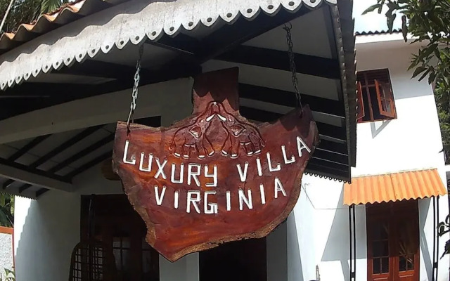 Villa Luxury Virginia With Pool and Garden