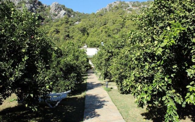 Cirali Merhaba Hotel