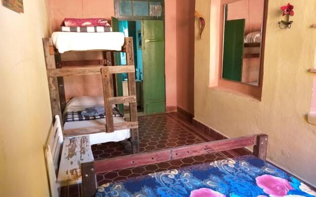 Hostel Pousada Harpia