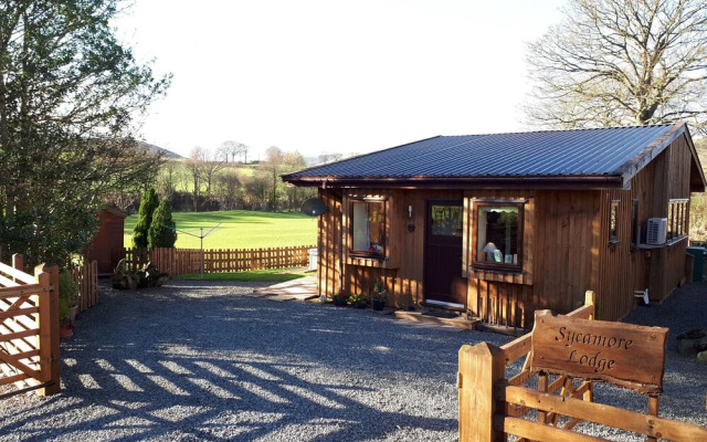 Sycamore Lodge