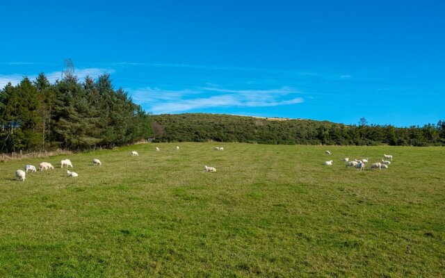 Wynford Holiday Cottages