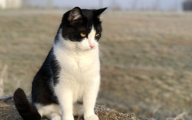 Tryde 1303 B&B på Österlen