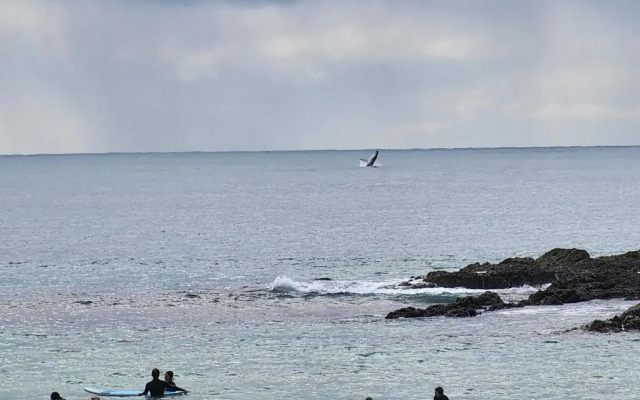 Abode On Market in the heart of Woolgoolga