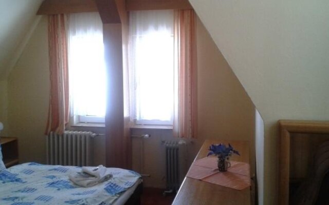 Hotel Erlebachova bouda