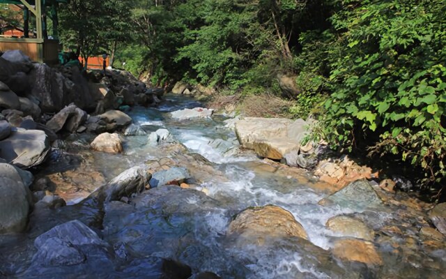 Jeongseon Dowon Pension