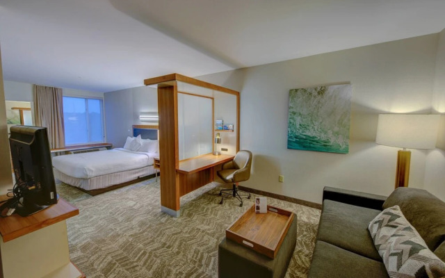 Springhill Suites Macon