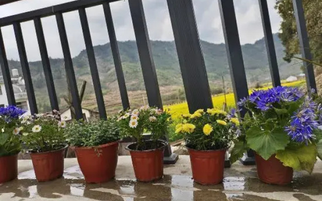 Wuyuan Wanglu Xiaoyin Homestay