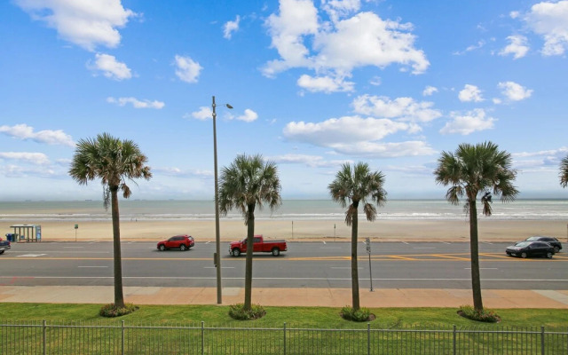 Dawn 223- Buena Vista