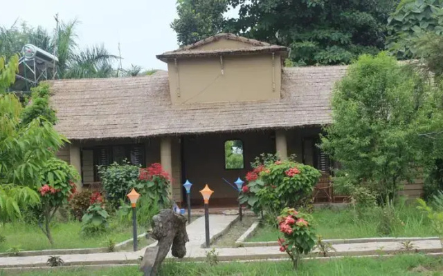 Jungle Resort