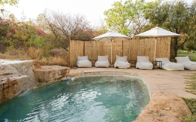 Last Word Madikwe