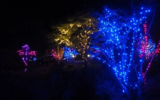 Chengyang Goun Healing Glamping
