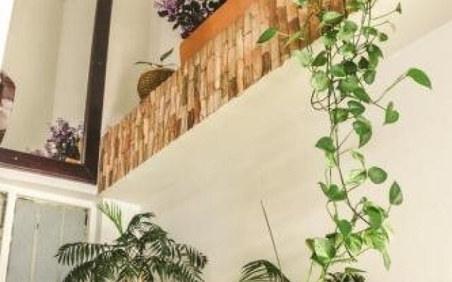 Hotel Carluval