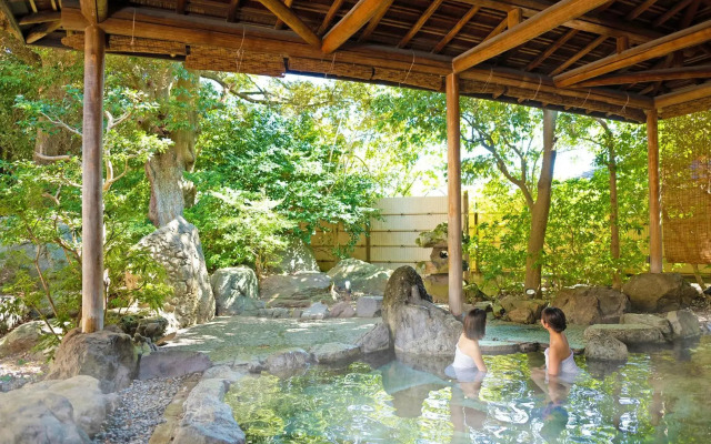 Ooedo Onsen Monogatari Awara