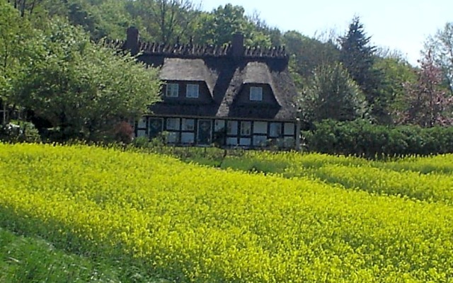 Ferienlandhaus Steinfeld