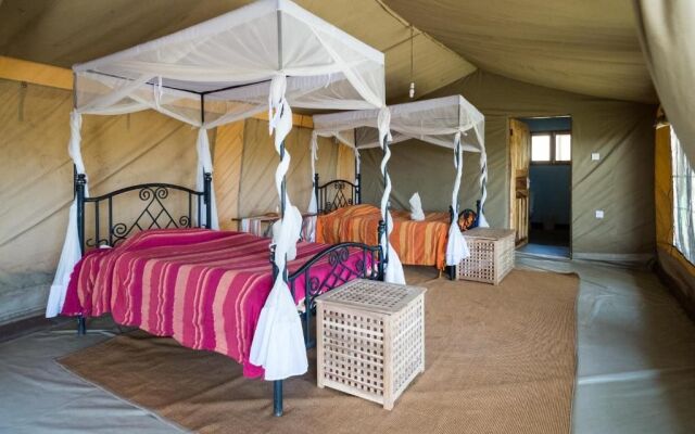 Serengeti Wildebeest Camp