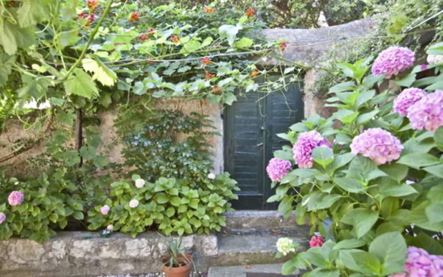 Park Gradac Apartment