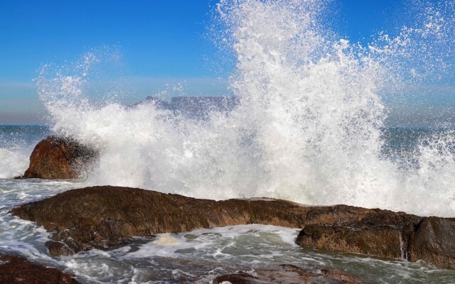 Eden on the Bay Studios