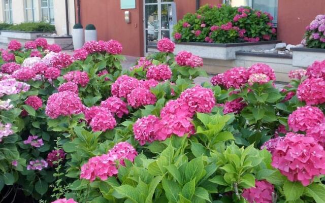 Vista Hotel & Residence