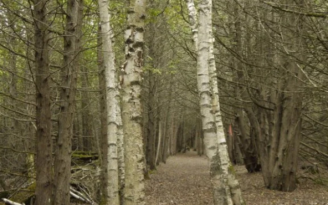 Thirteen Moons - Women's Wellness Retreat