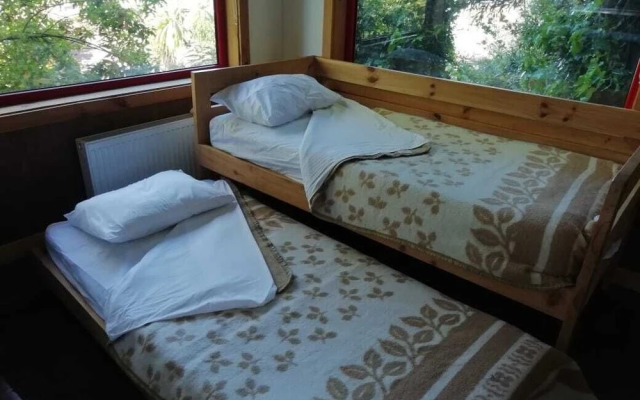 Cabanas Alma Bosque