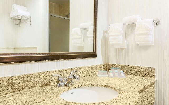 Hilton Garden Inn Dallas Lewisville