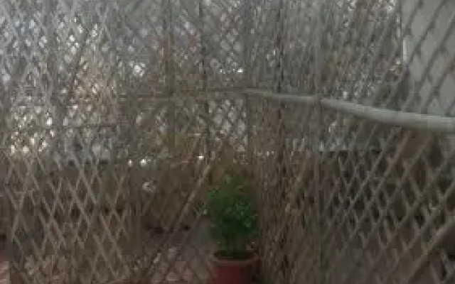 Bhavyam HomeStay &Cafe BackPackers ko