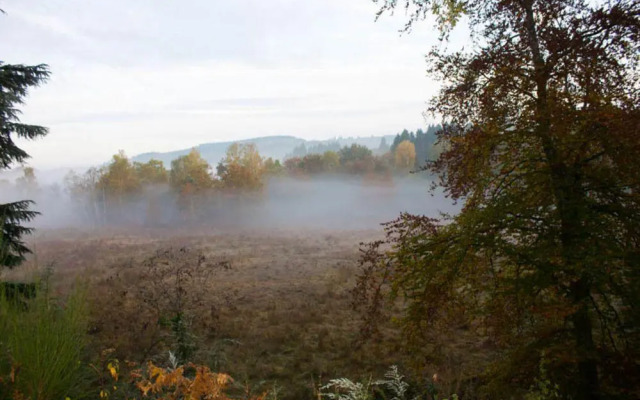 Gîte de charme Les Trois Chênes