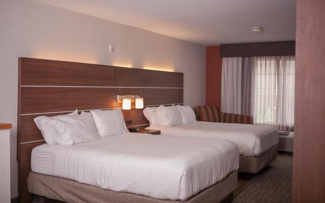 Holiday Inn Express Hotel & Suites, an IHG Hotel