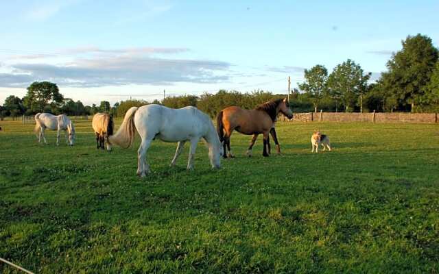 The Little Flock Farm