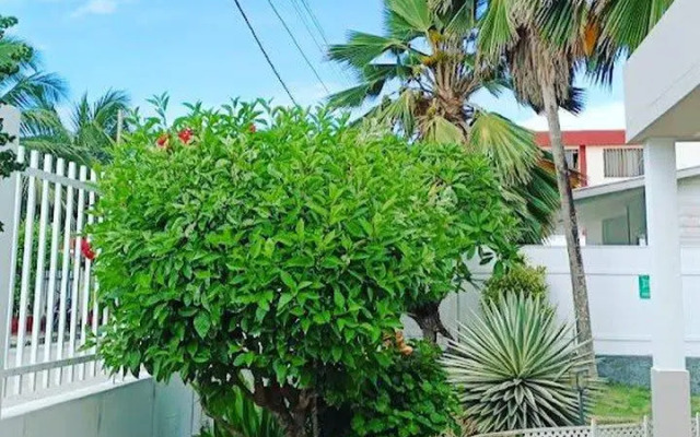 Victors Vip Hotel Boutique