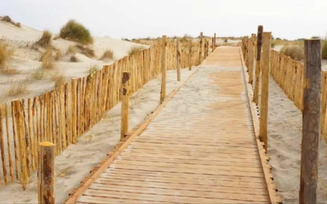 Appartement Vue Mer 208