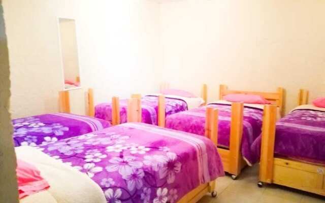 Guest Green - Adults Only - Hostel