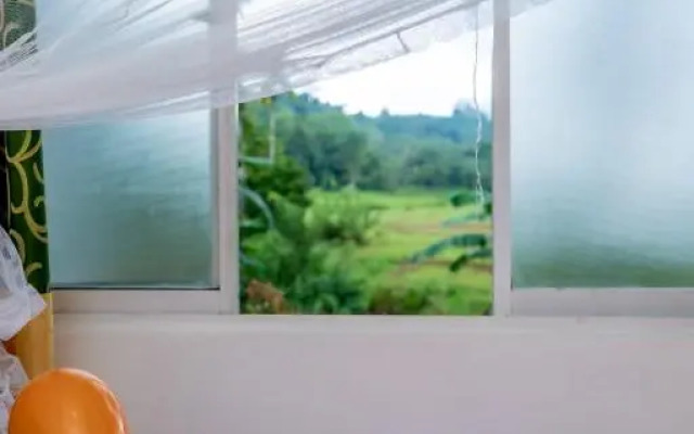 Rainforest Holiday Inn