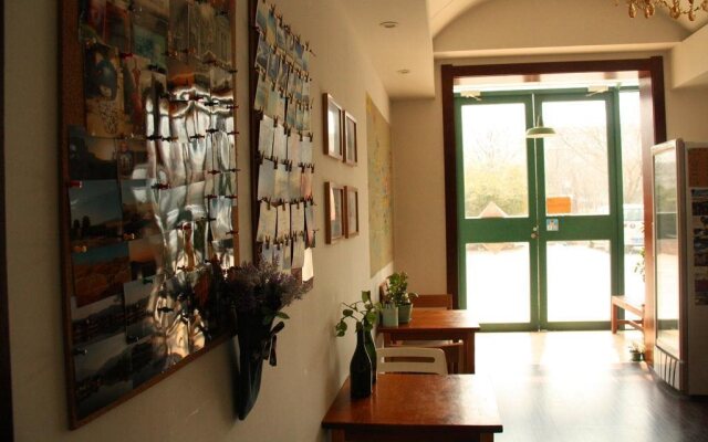 Mint Youth Hostel