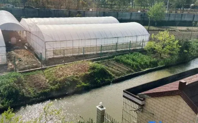 Shanghai Wuqi Xiaozhu Homestay