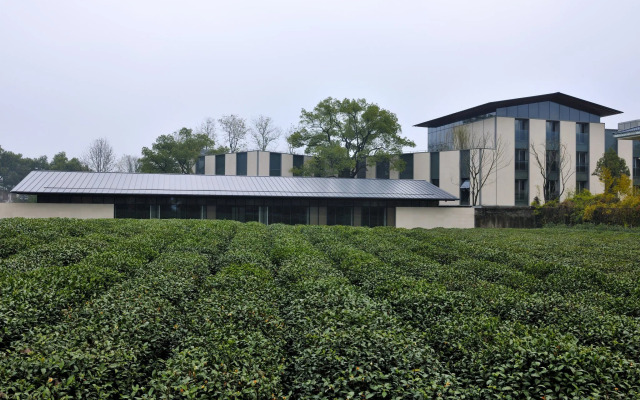 Pins De La Brume Hotel