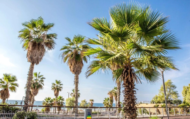 Premium suites on Beach Ben Yehuda 43