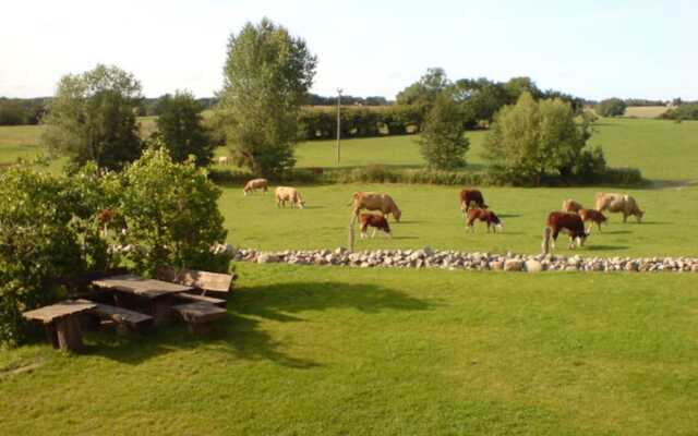 Ostsee Ferienhaus Welzin - Altes Schäferhaus