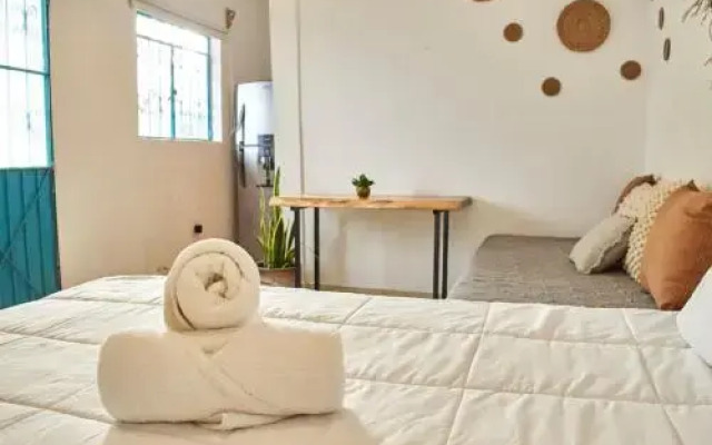 La Gran Mosca Verde Hostel