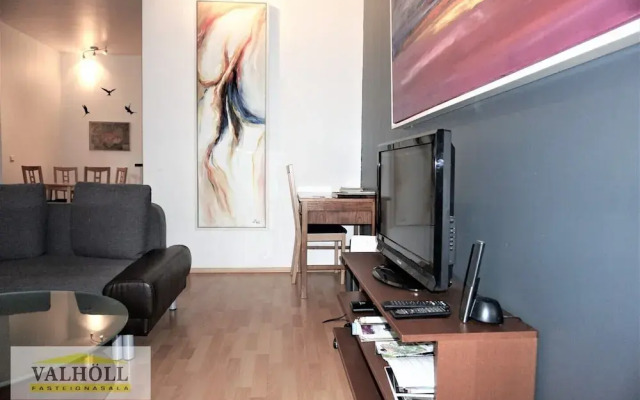 Reykjavik Center Condos