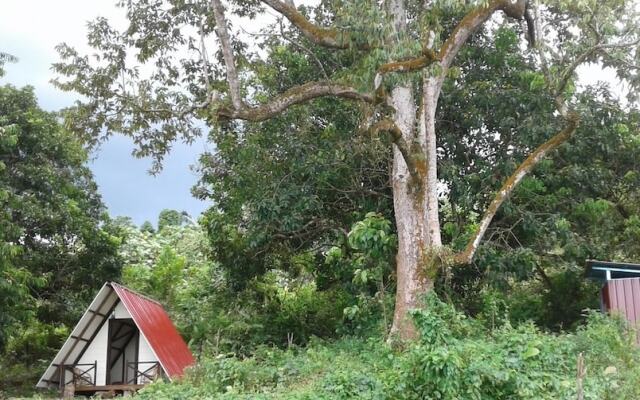 The Forest Cabin Taiping