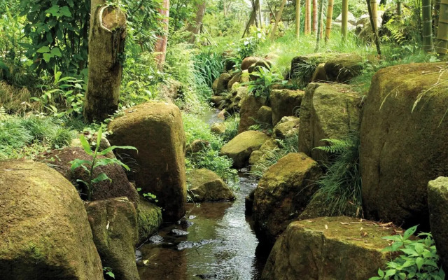 Mars Garden Wood Gotemba