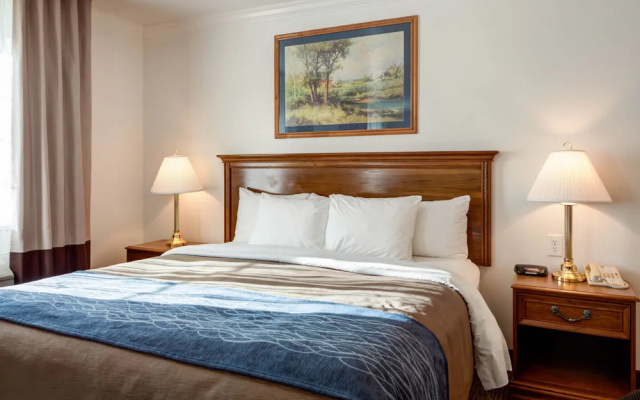 Paradise lodge