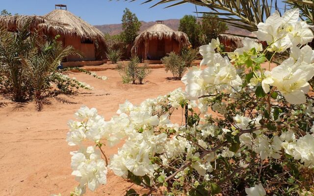 Bedouin Star