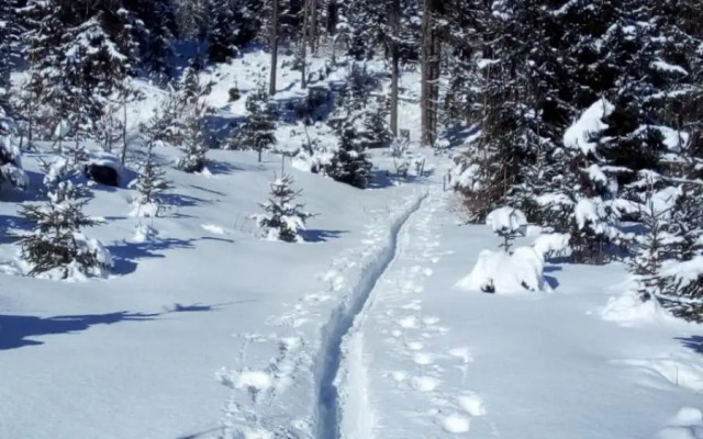 Sonnen-Appartement Heidi