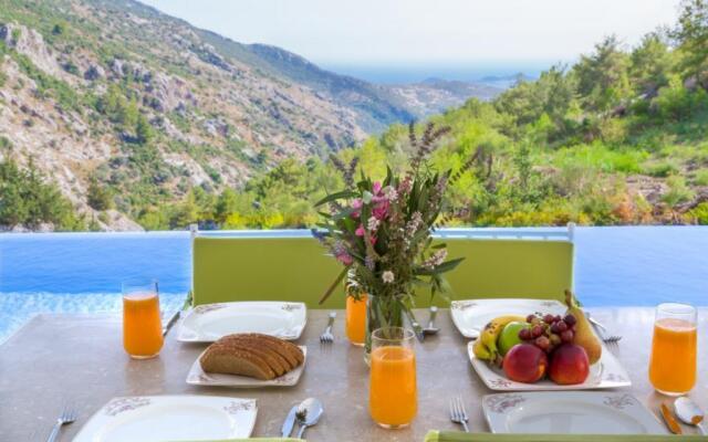 Villa Infinity Wild