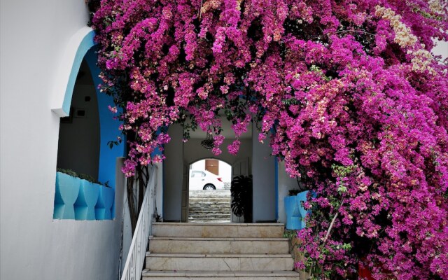 Palma Hotel